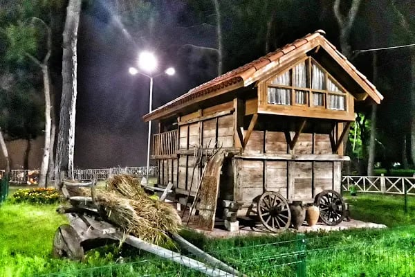 Macera Ormanı - Resim 14