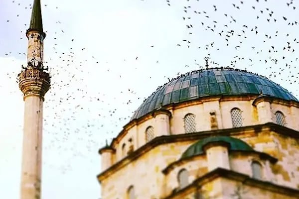 Kök Düğün Salonu - Resim 20