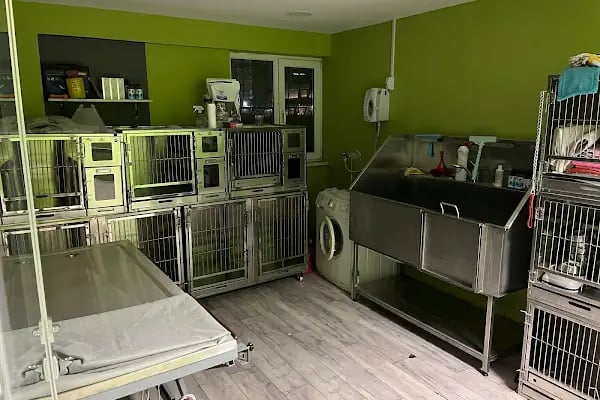 Özlüce Veteriner Kliniği - Resim 8