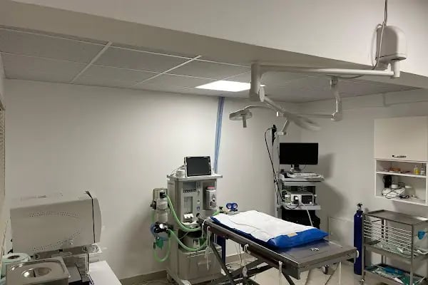 Özlüce Veteriner Kliniği - Resim 3