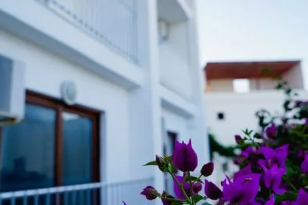 Rozetta Hotel - Resim 7