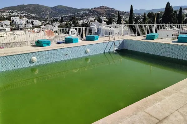 Rozetta Hotel - Resim 11