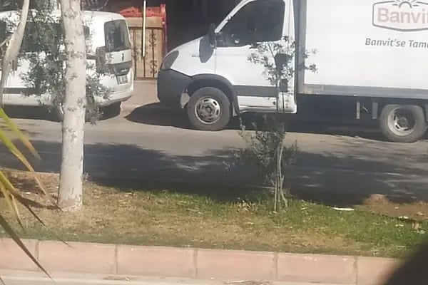 Nivgöz Çukurova - Resim 4