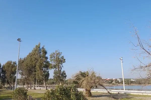 ŞERİF TOKDİL (TAYTIS ) - Resim 5