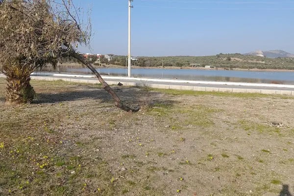 ŞERİF TOKDİL (TAYTIS ) - Resim 19