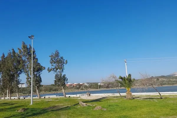 ŞERİF TOKDİL (TAYTIS ) - Resim 15