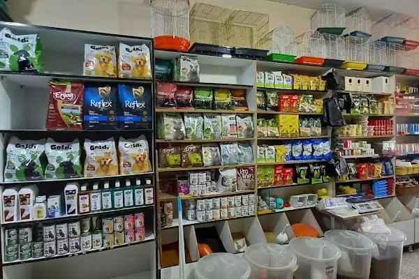 Koç Petshop Ve Akvaryum - Resim 10