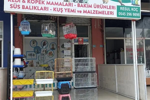 Koç Petshop Ve Akvaryum - Resim 2