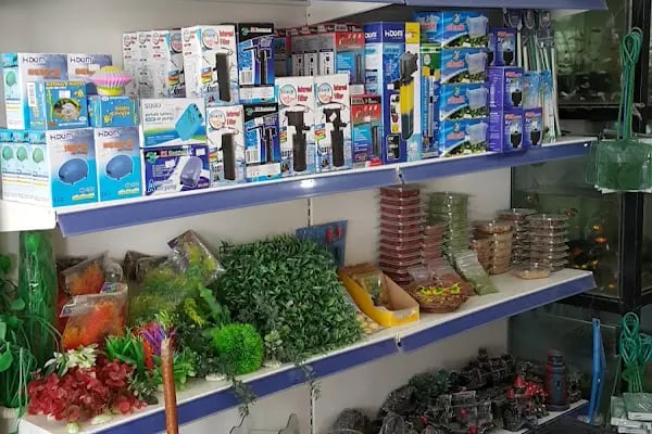 Koç Petshop Ve Akvaryum - Resim 18