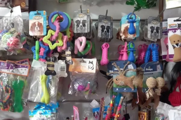 Koç Petshop Ve Akvaryum - Resim 13