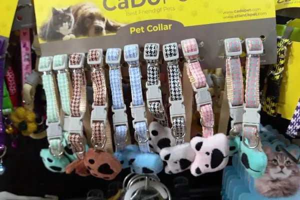 Koç Petshop Ve Akvaryum - Resim 16