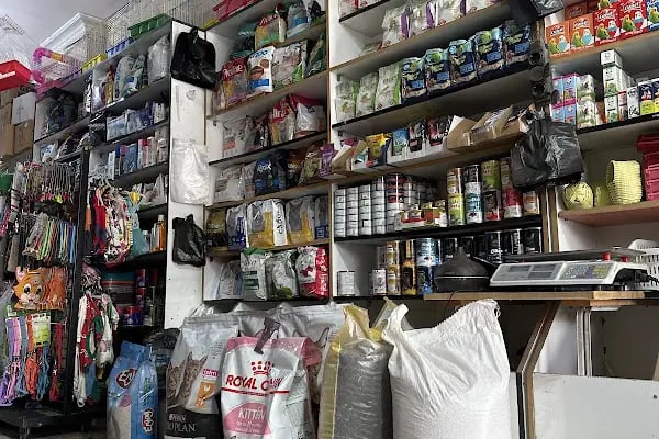 Koç Petshop Ve Akvaryum - Resim 17