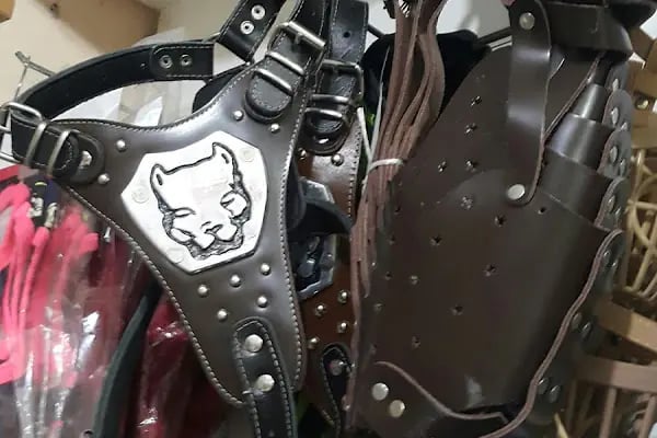 Koç Petshop Ve Akvaryum - Resim 6