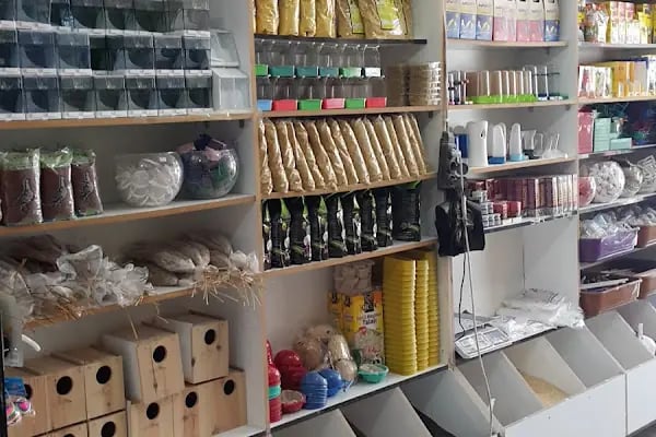 Koç Petshop Ve Akvaryum - Resim 15