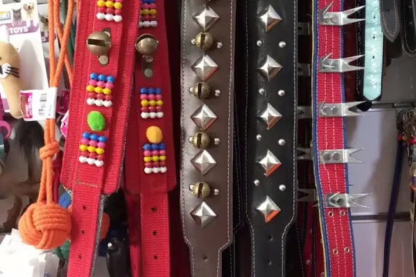 Koç Petshop Ve Akvaryum - Resim 20
