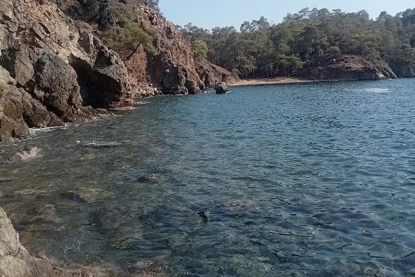 Günlük koyu Ücretsiz kamp alanı - Resim 9