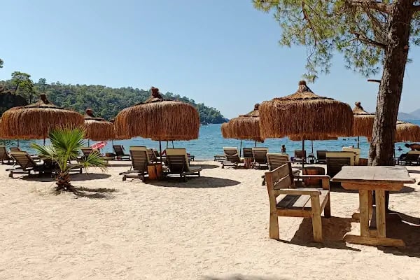 Günlük koyu Ücretsiz kamp alanı - Resim 13
