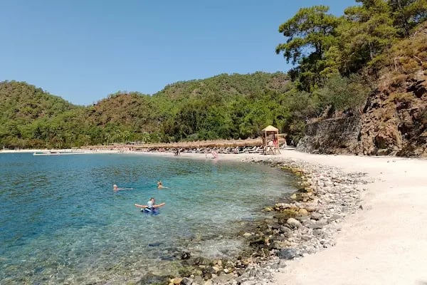 Günlük koyu Ücretsiz kamp alanı - Resim 18