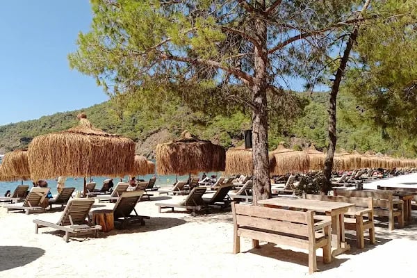 Günlük koyu Ücretsiz kamp alanı - Resim 3