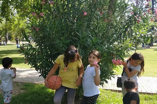 Neşet Ertaş Parkı - Resim 6