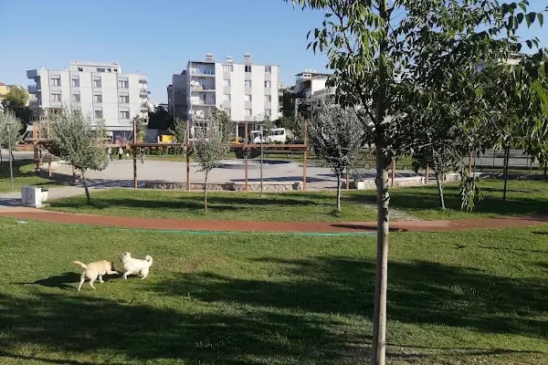 Neşet Ertaş Parkı - Resim 11