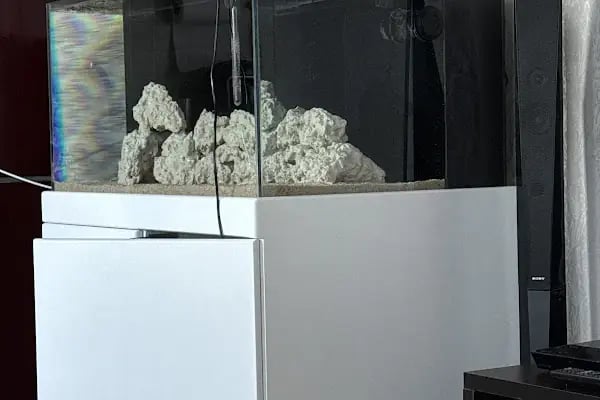 Özgür Akvaryum Kuş &amp; Balik Galerisi - Resim 18
