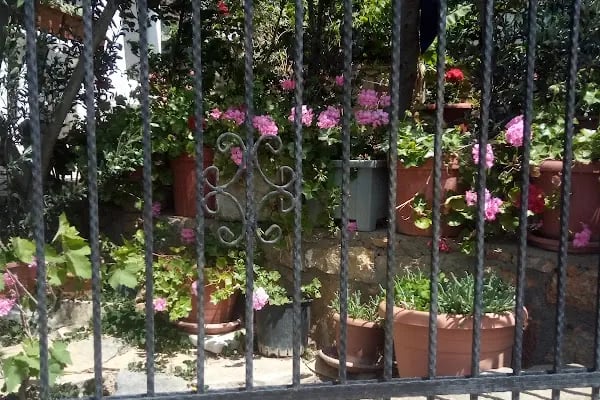 Leman Mehmet Güneri camii - Resim 11