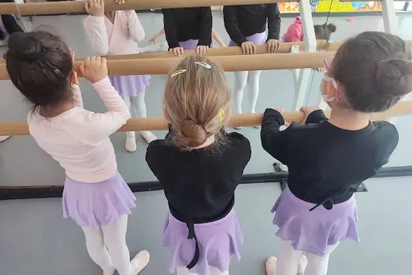 TC MEB Ru Sahne Sanatları Bale ve Müzik Okulu - Resim 12