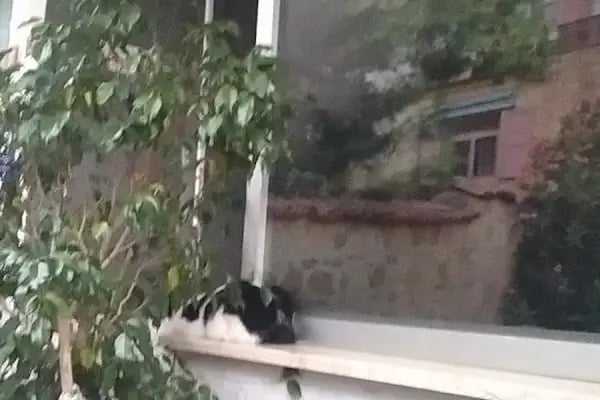 Tuğba Nazlı Bayan Kuaförü - Resim 4