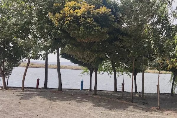 Köroğlu Aile Çay Bahçesi - Resim 12
