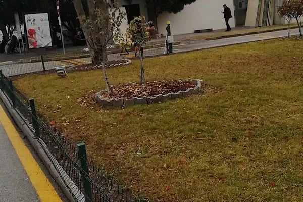 Gülhane Eğitim ve Araştırma Hastanesi - Resim 18
