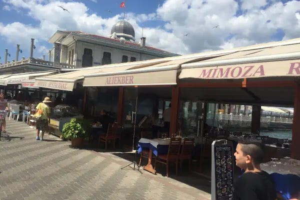 Mimoza Restaurant - Resim 11
