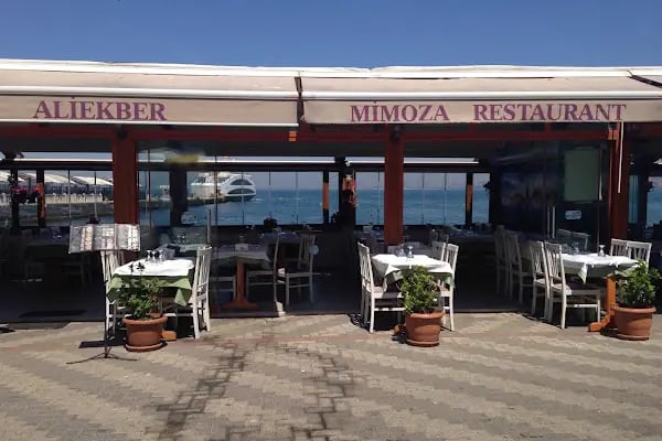 Mimoza Restaurant - Resim 1