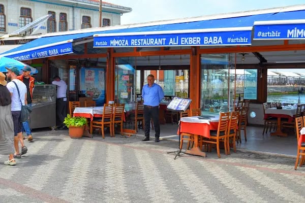 Mimoza Restaurant - Resim 6