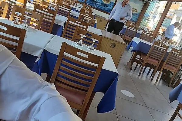 Mimoza Restaurant - Resim 7