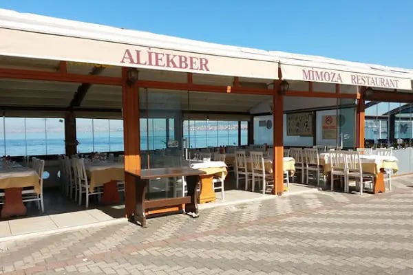 Mimoza Restaurant - Resim 3