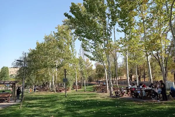 Orduzu piknik alani - Resim 4