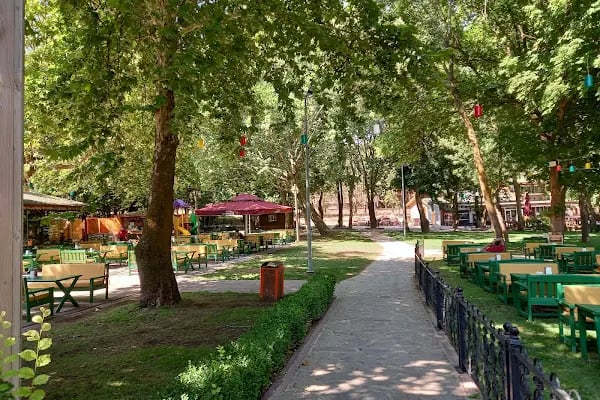 Orduzu piknik alani - Resim 18