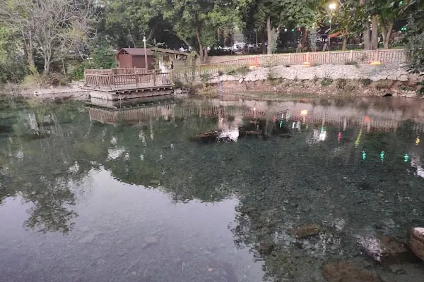 Orduzu piknik alani - Resim 9