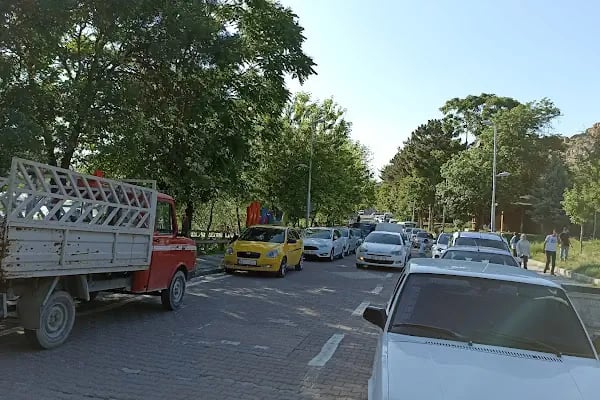 Orduzu piknik alani - Resim 16