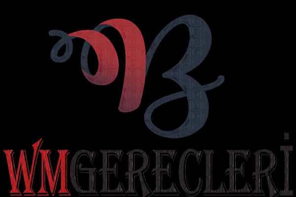 WMGTASARIM - Reklam Web Tasarım Yazılım Hizmetleri - Resim 13