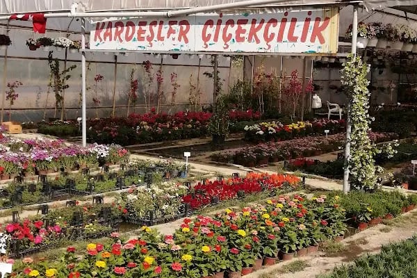 Kardeşler Çiçekçilik - Resim 18