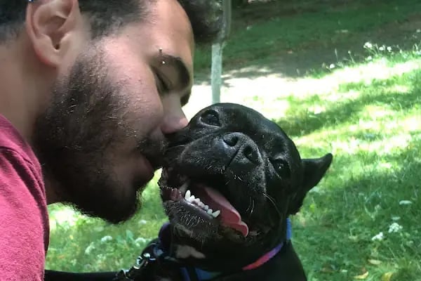 PAWALK | Köpek Gezdirme ve Evde Bakım Hizmeti - Resim 13