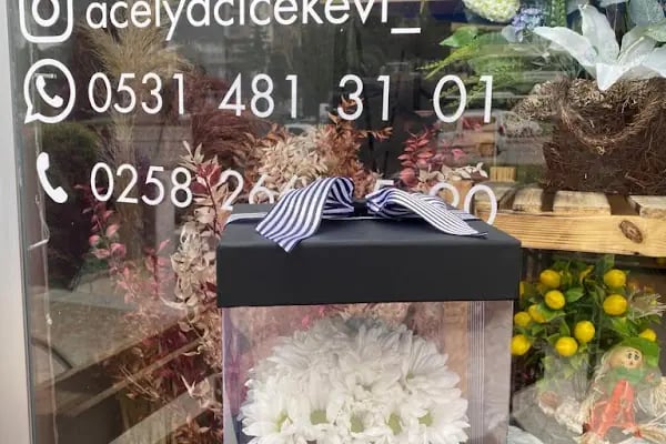 AÇELYA ÇİÇEK EVİ - Resim 11