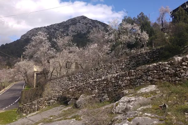 Akşahap - Resim 7