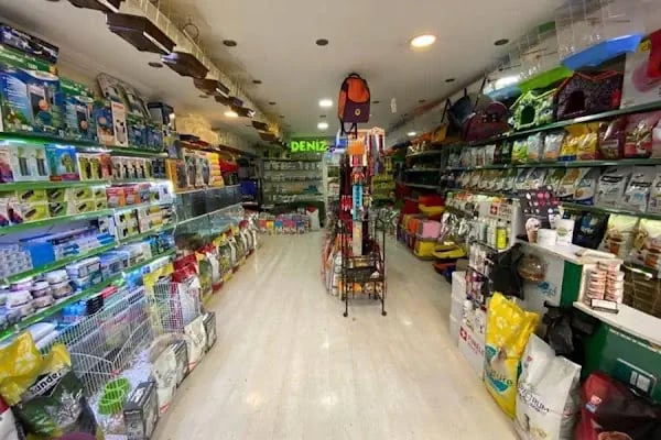 MİNİK PATİ PET KUAFÖR (GAZİANTEP KEDİ&amp;KÖPEK TRAŞI) - Resim 7