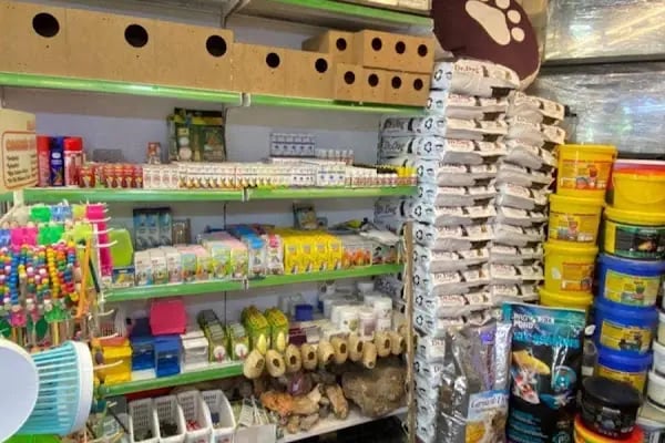 MİNİK PATİ PET KUAFÖR (GAZİANTEP KEDİ&amp;KÖPEK TRAŞI) - Resim 10