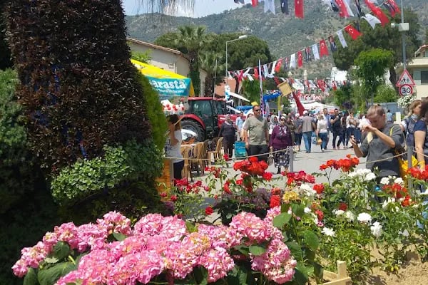 Bayındır Belediye Parkı - Resim 6