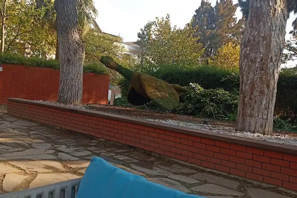Bayındır Belediye Parkı - Resim 15
