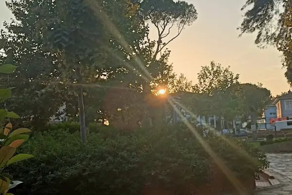 Bayındır Belediye Parkı - Resim 19